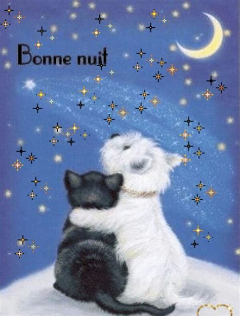 buonanotte in francese immagini|immagini buonanotte.